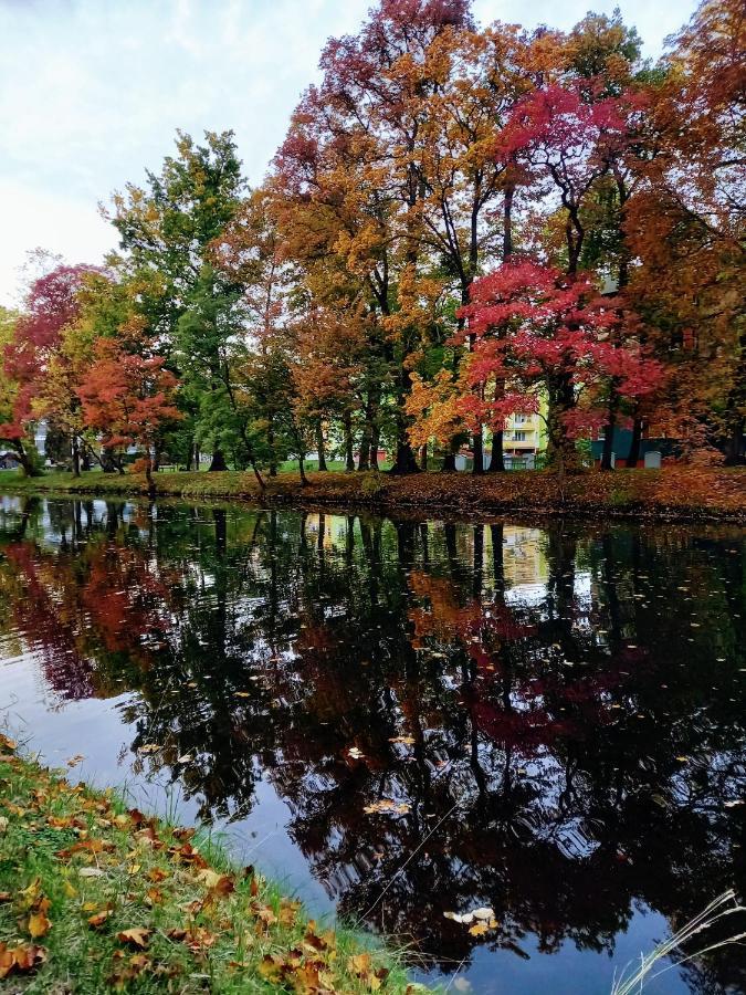 Apartament W Parku Nad Kanalem Bydhošť Exteriér fotografie